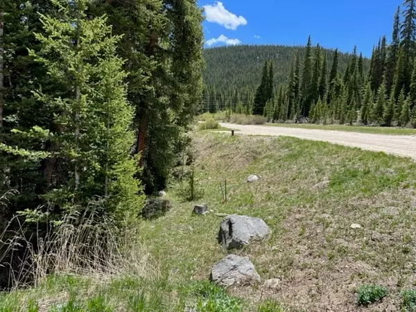 Breckenridge, CO 80424,0089 CR 670