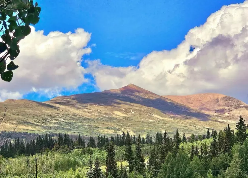 295 Silver Plume RD, Alma, CO 80420