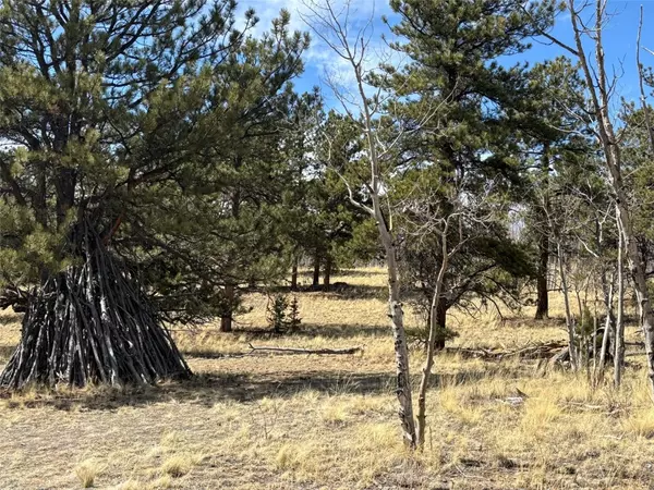 Jefferson, CO 80456,147 Bordenville RD