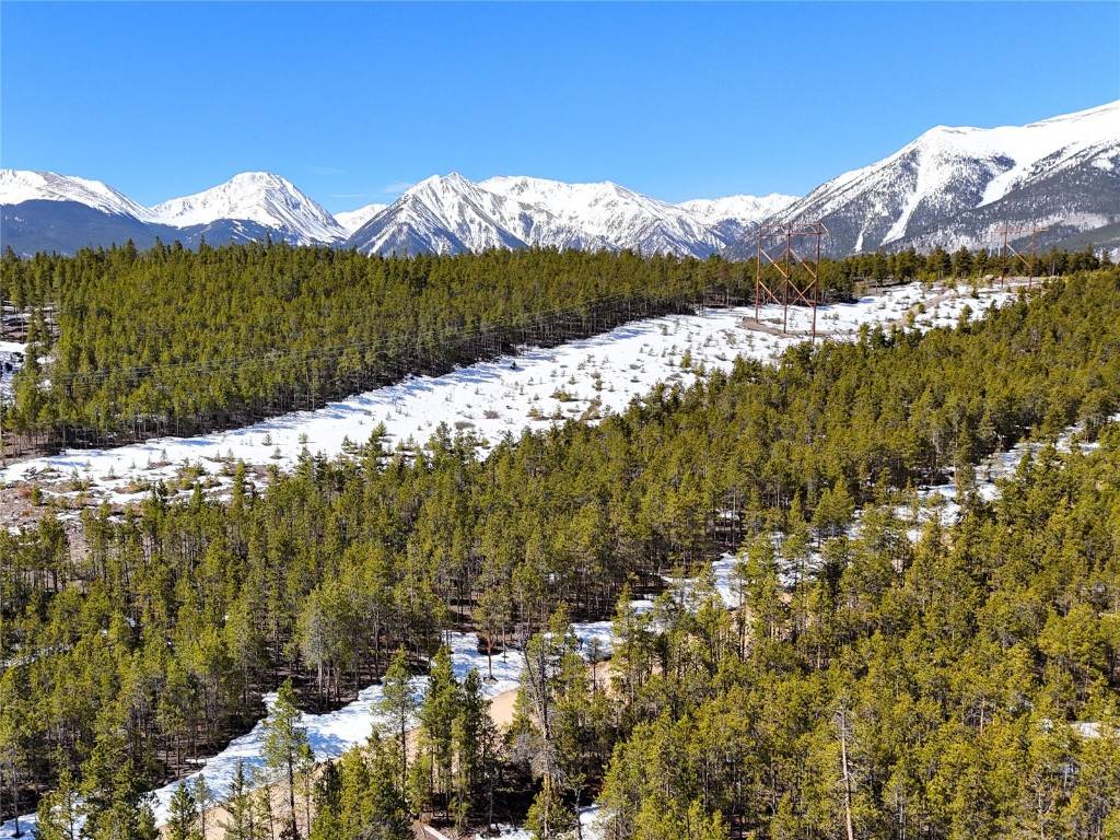 1033 Sequoia DR, Leadville, CO 80461