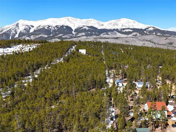 1033 Sequoia DR, Leadville, CO 80461