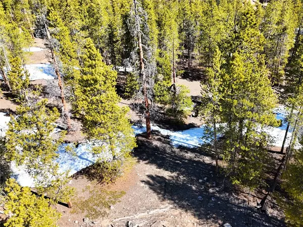 Leadville, CO 80461,1033 Sequoia DR