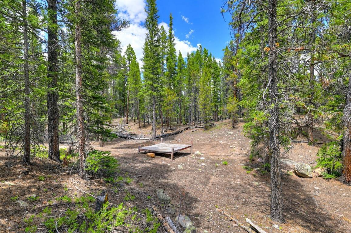 Alma, CO 80420,2221 Kootchie Kootchie RD