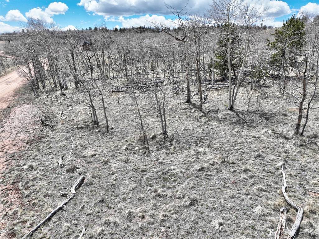 Como, CO 80432,1087 Kite CT