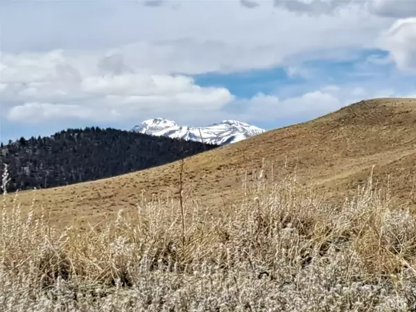 Hartsel, CO 80449,205 Clear Creek CT