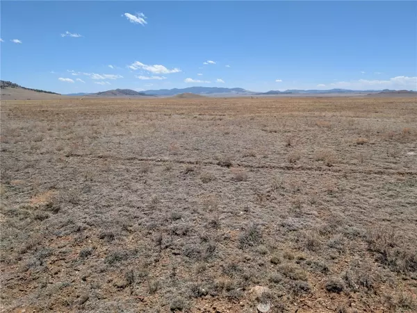 Hartsel, CO 80449,5124 Rio Blanco RD