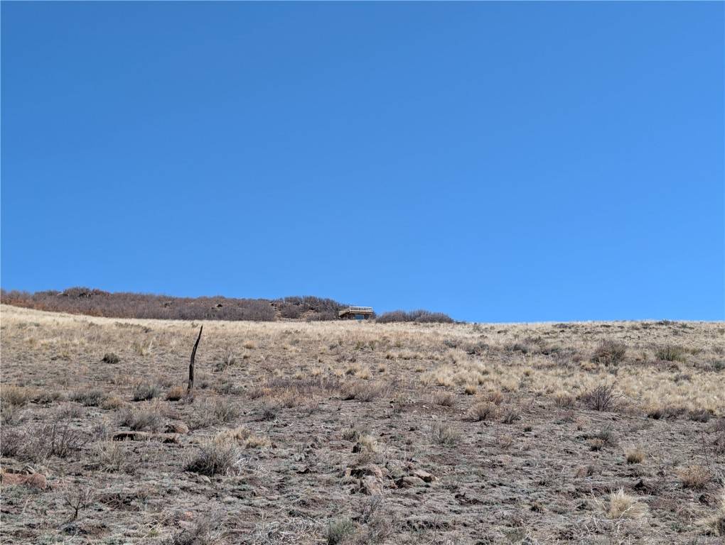 Other, CO 81212,0 Wapiti DR