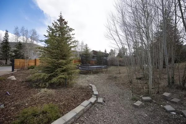 Dillon, CO 80435,149 Honeysuckle CT