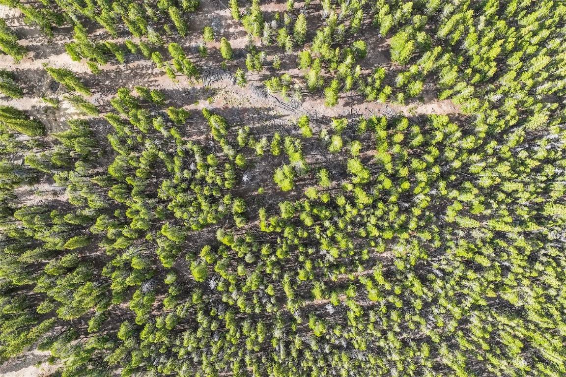 Fairplay, CO 80440,918 Guymard RD