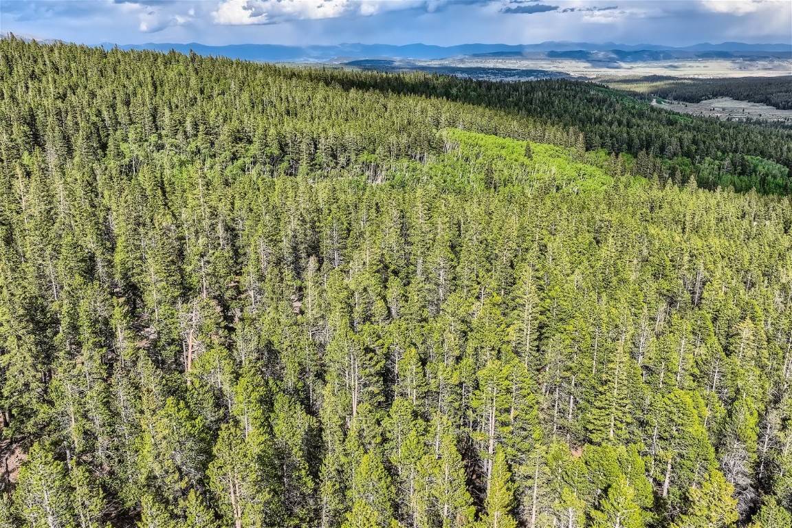 Fairplay, CO 80440,918 Guymard RD