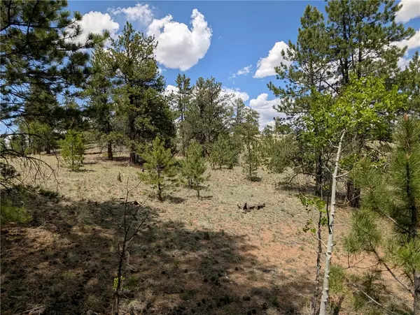 Hartsel, CO 80449,2053 Badger Creek RD