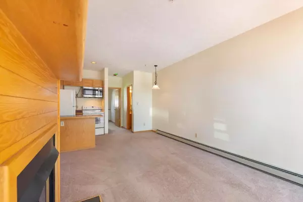 Silverthorne, CO 80498,91400 Ryan Gulch RD #91407B