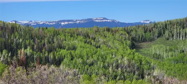 TBD Silverado RD, Oak Creek, CO 80467