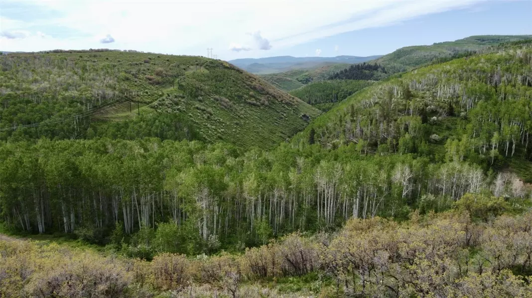 24425 Lone Tooth TRL, Oak  Creek, CO 80467