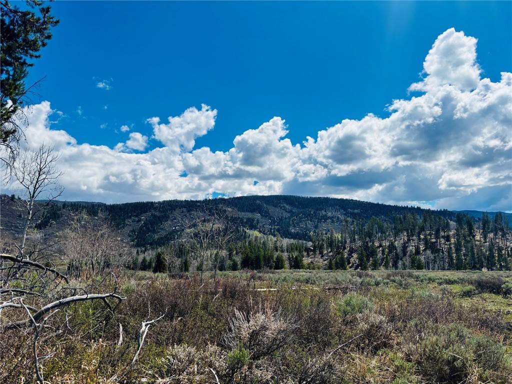 Oak  Creek, CO 80467,Lot  143 Halter TRL