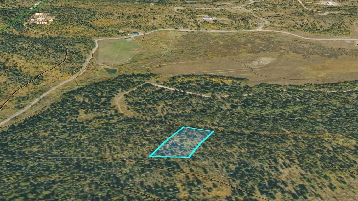 Oak  Creek, CO 80467,50 Springboard TRL
