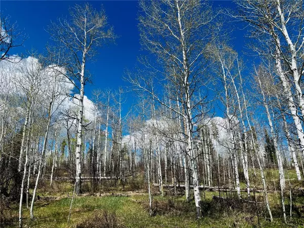 Oak  Creek, CO 80467,Lot 124 Wagon Wheel TRL