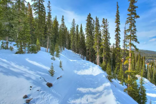 Breckenridge, CO 80424,413 Carroll LN