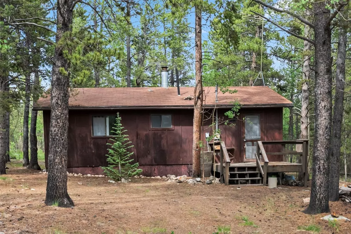 Fairplay, CO 80440,64 Ski Doo LN