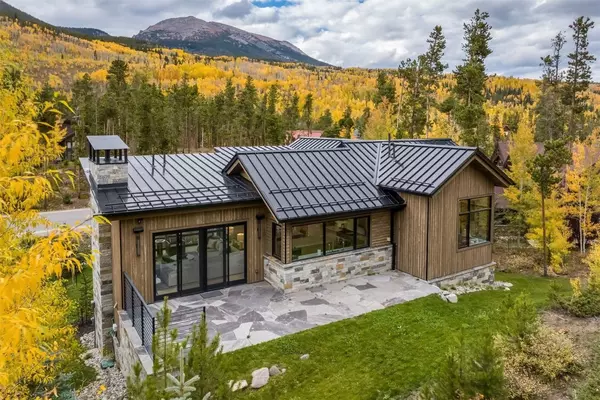 Frisco, CO 80443,214 Windflower LN