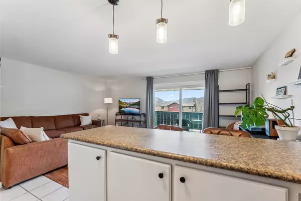 Dillon, CO 80435,753 Straight Creek DR #304