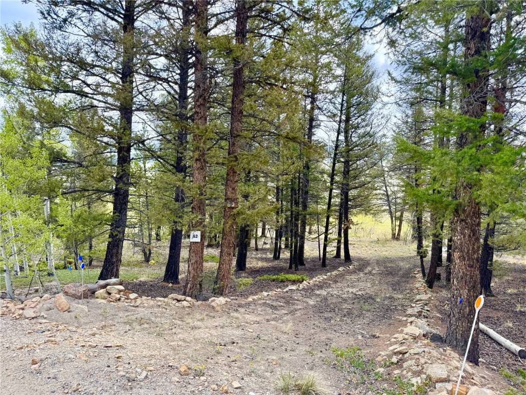 2886 Redhill RD, Fairplay, CO 80440