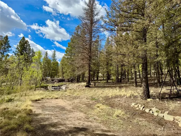 Fairplay, CO 80440,2886 Redhill RD