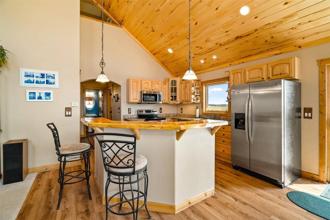 Fairplay, CO 80440,188 June Grass CT