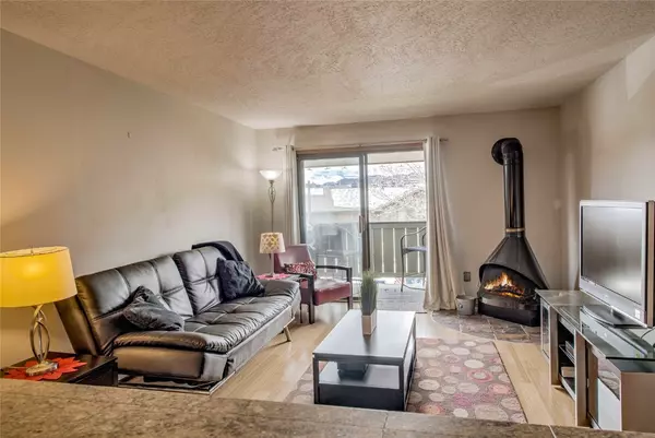 Dillon, CO 80435,833 Straight Creek DR #303