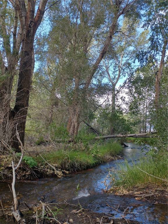 Other, CO 81143,63001 CC County Road