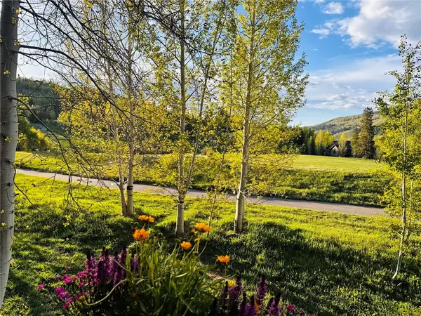 Silverthorne, CO 80498,402 Kestrel LN