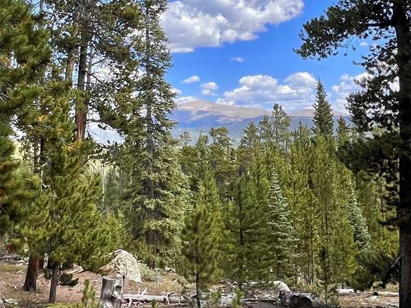 676 Dry Gulch RD, Fairplay, CO 80440