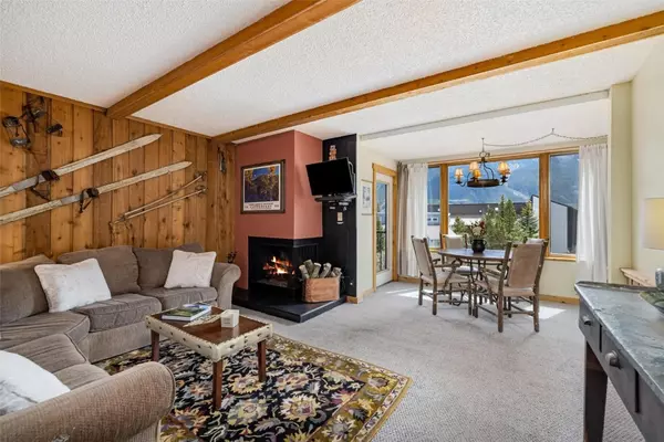 Copper  Mountain, CO 80443,88 Guller RD #303