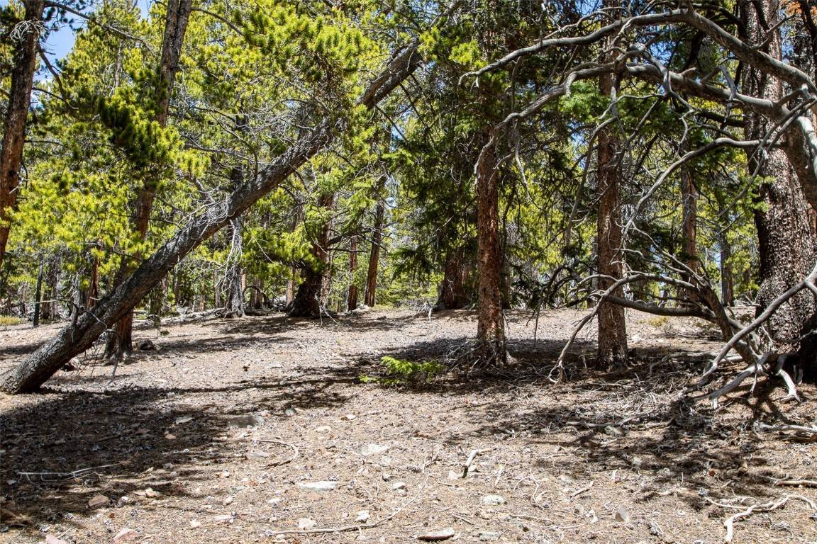 Alma, CO 80420,1171 CO RD 787