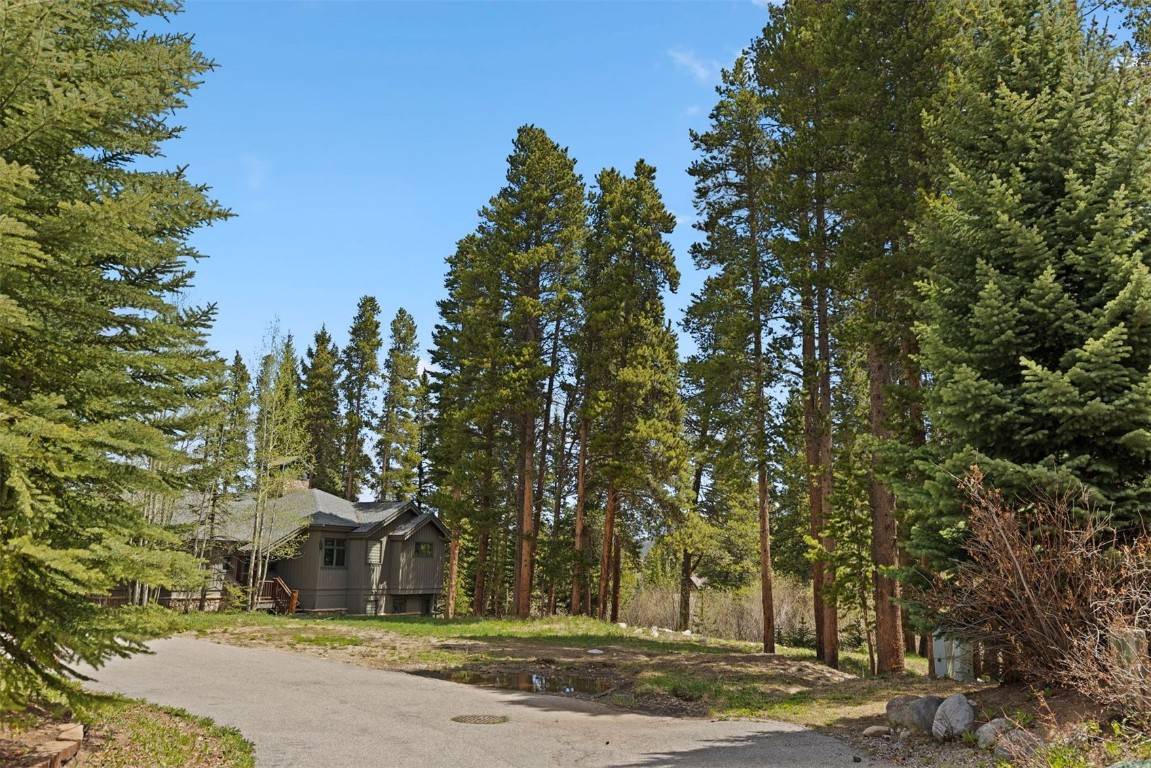 Breckenridge, CO 80424,28 Tall Pines DR