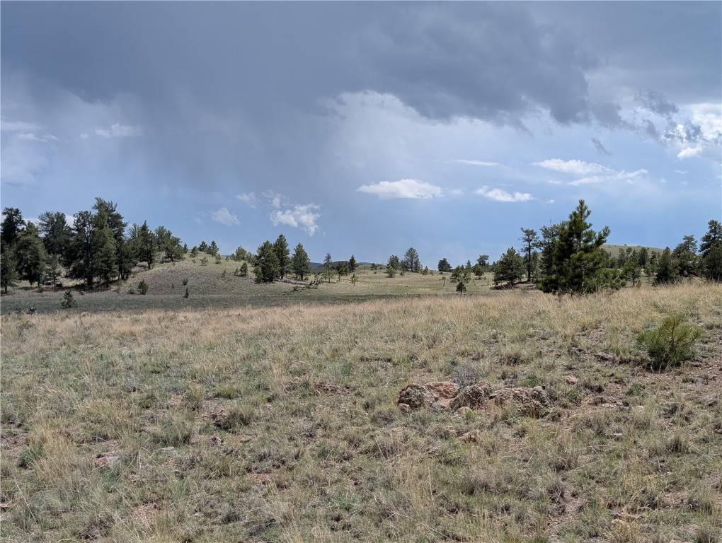 Hartsel, CO 80449,0 Black Beaver/Keechi RD