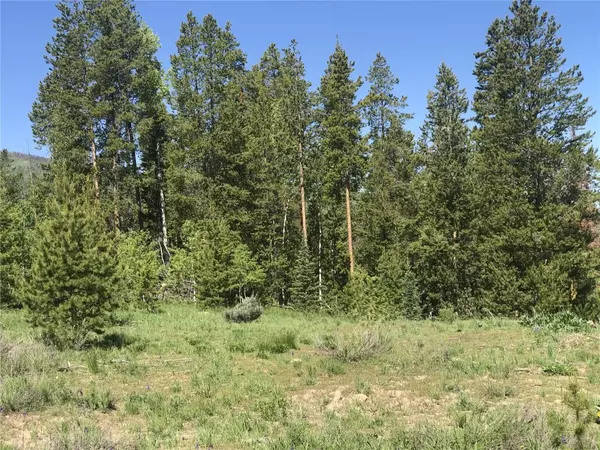 Oak Creek, CO 80467,33415 Filly TRL