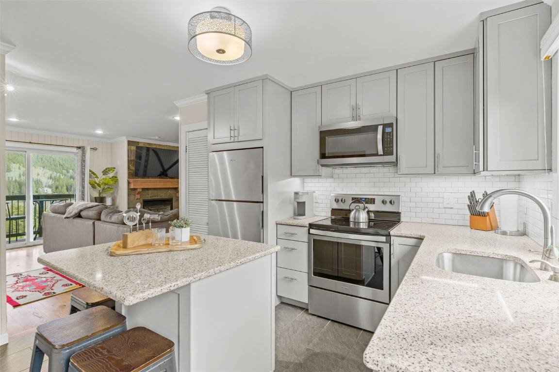 Blue  River, CO 80424,67 Peaks View CT #232
