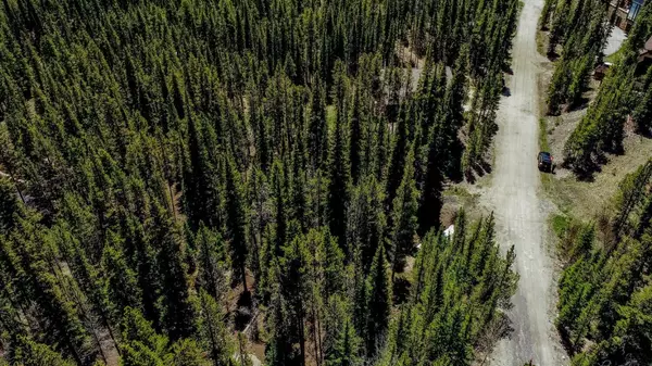 Breckenridge, CO 80424,163 Lakeview DR