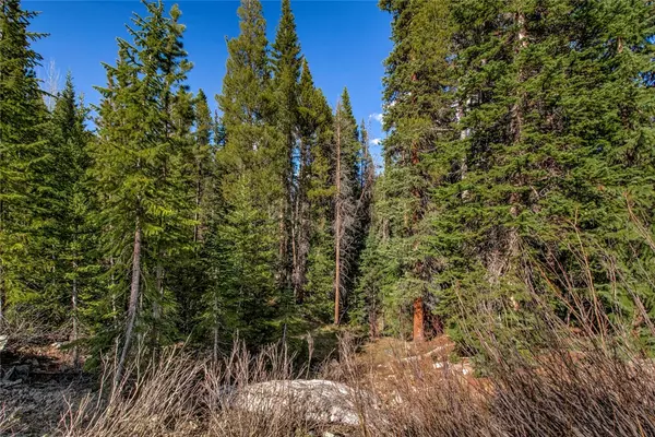 Breckenridge, CO 80424,163 Lakeview DR