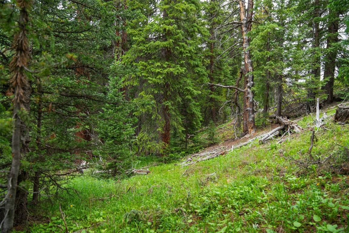 Breckenridge, CO 80424,103 Mark CT