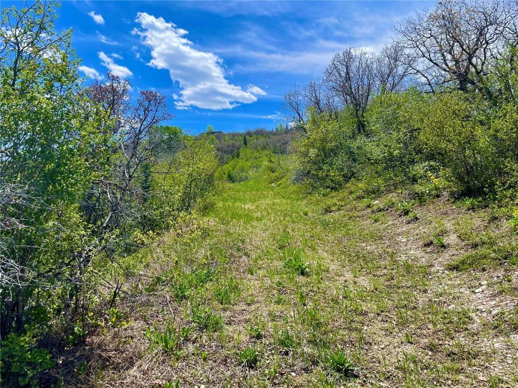 Steamboat  Springs, CO 80487,42522 Deerfoot LN