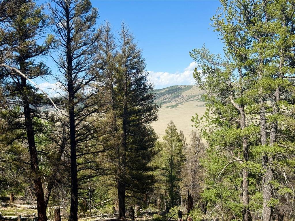 Fairplay, CO 80440,Lot 223 Middle Fork Vista
