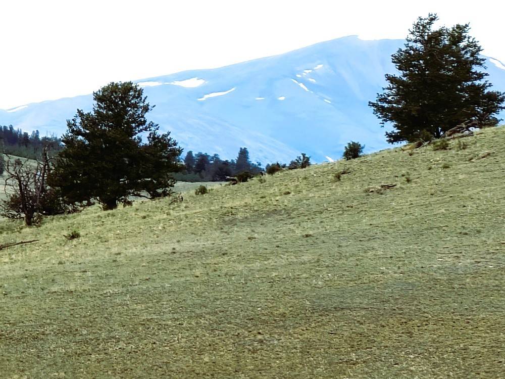 Hartsel, CO 80449,384 Cathy DR