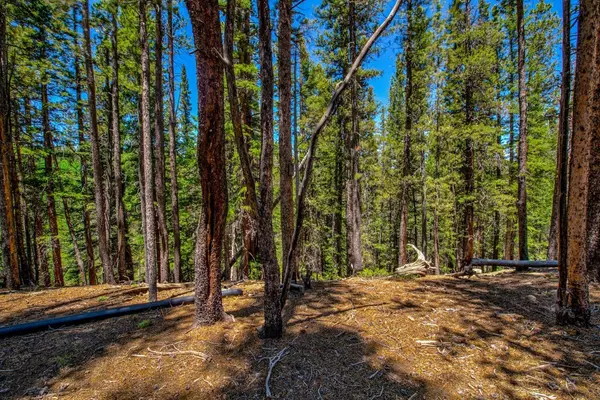 Fairplay, CO 80440,4100 CO RD 1