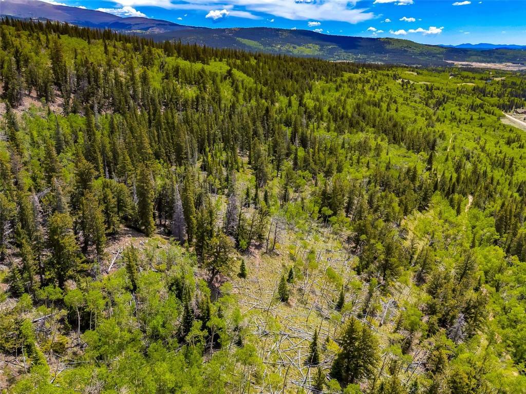 Alma, CO 80420,270 CO RD 667
