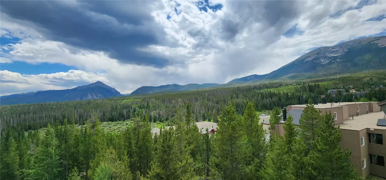 9490 Ryan Gulch RD #94202, Silverthorne, CO 80498