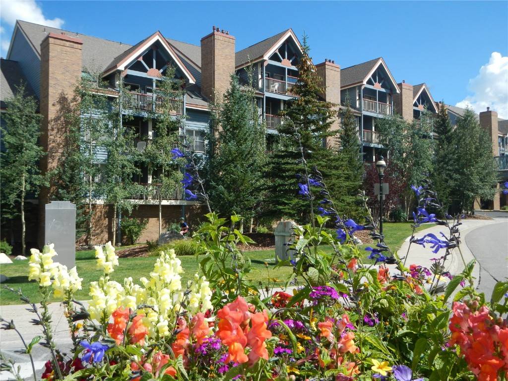 100 S Park AVE #E321, Breckenridge, CO 80424