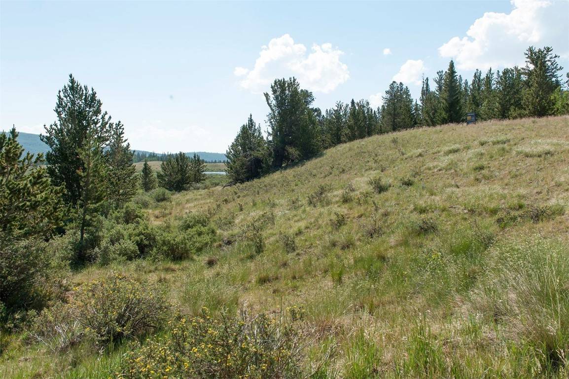 Alma, CO 80420,268 High River CT