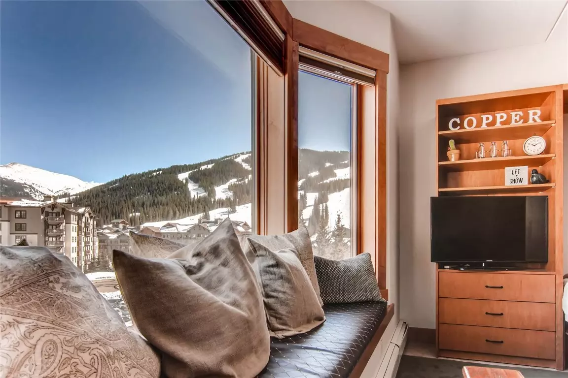 Copper Mountain, CO 80443,45 Beeler PL #2309